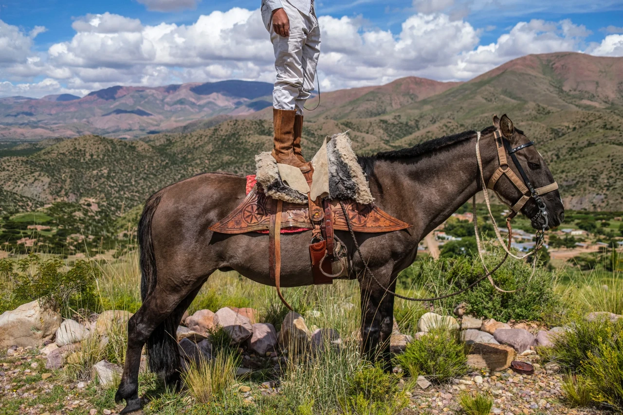 2025-ci ilin FOTOLARI...